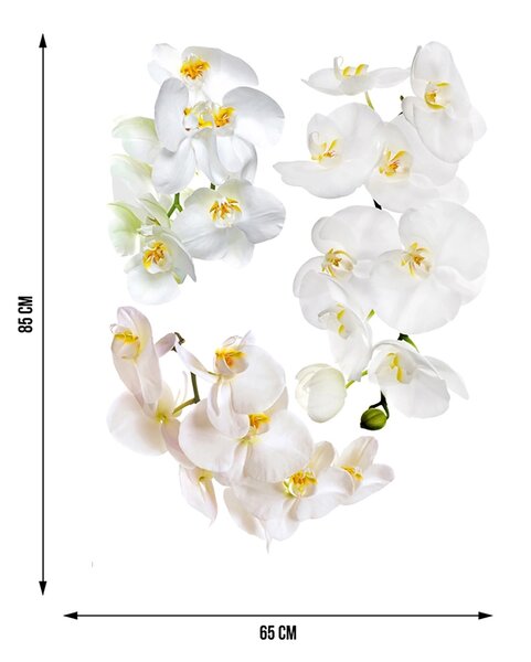 Samolepka na zeď Květy Orchideje | 65 x 85 cm | DF1068