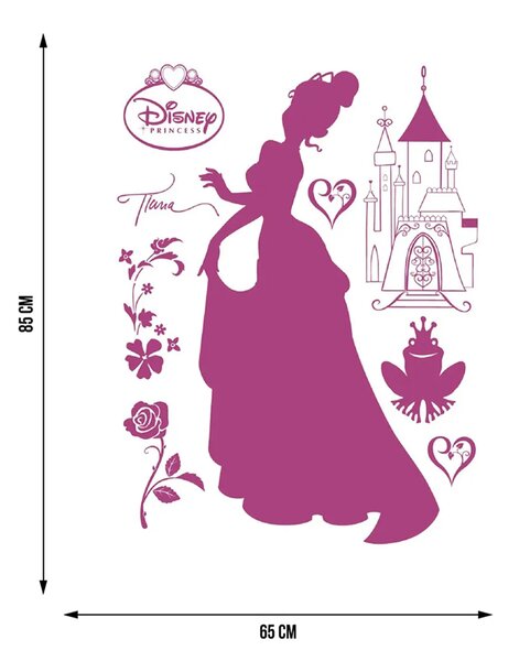 Dětská samolepka na zeď Disney Princezna a žabák | 65 x 85 cm | DDK873