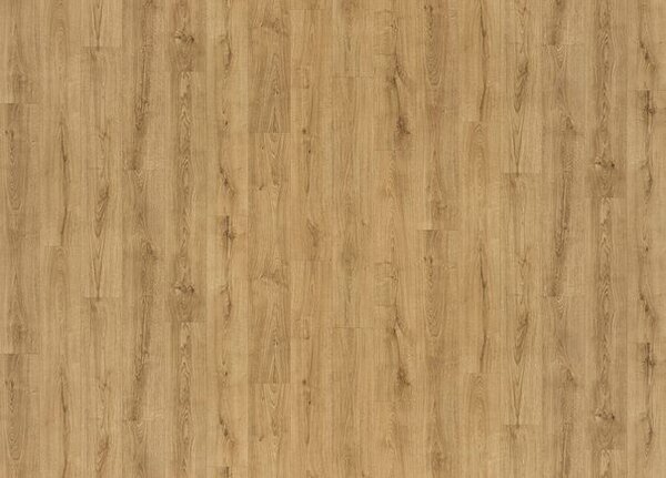 Breno PVC CALLISTO Legend Oak S41 – světlé dřevo, šíře 200 cm