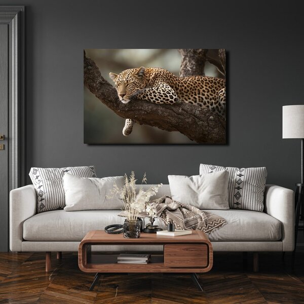 Obraz leopard odpočívající na stromě