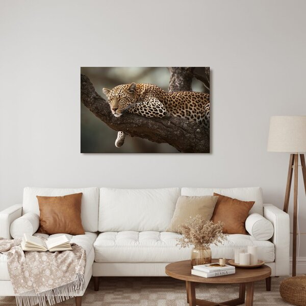 Obraz leopard odpočívající na stromě
