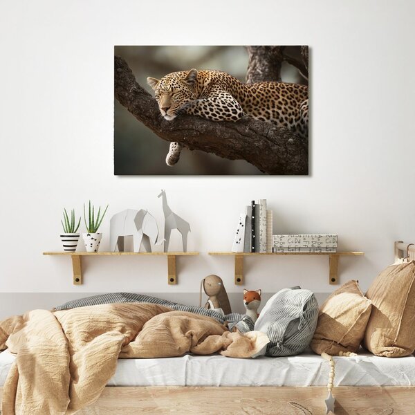 Obraz leopard odpočívající na stromě