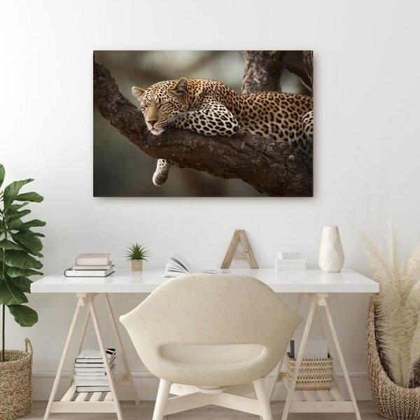 Obraz leopard odpočívající na stromě