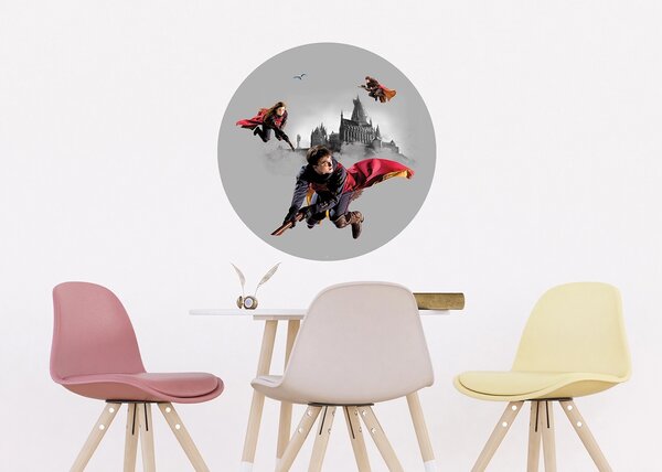 Samolepící vliesová fototapeta na zed' Harry Potter Famfrpálové Trio | 70 x 70 cm | DCRD5807
