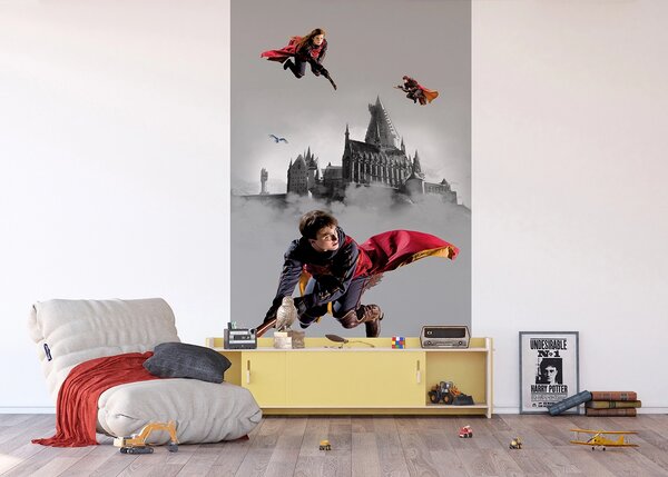 Dětská vliesová fototapeta na zed' Harry Potter Famfrpálové Trio | 150 x 270 cm | DFTD2P5613