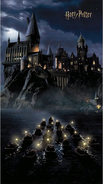 Dětská vliesová fototapeta na zed' Harry Potter První Rok v Bradavicích | 150 x 270 cm | DFTD2P5621