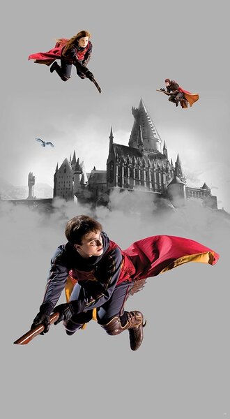 Dětská vliesová fototapeta na zed' Harry Potter Famfrpálové Trio | 150 x 270 cm | DFTD2P5613