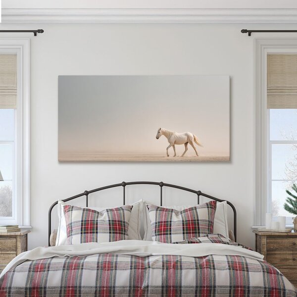 Obraz klidný kůň na písku
