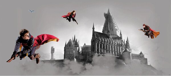 Dětská vliesová fototapeta na zed' Harry Potter Famfrpálové Trio | 170 x 75 cm | DFTDNH5517