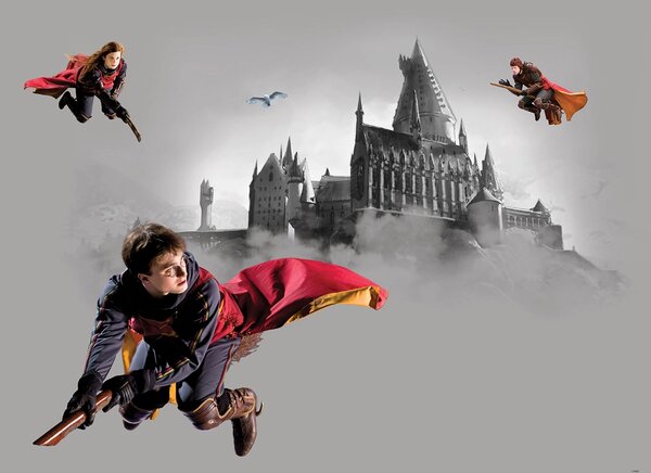 Dětská vliesová fototapeta na zed' Harry Potter | 155 x 110 cm | DFTDNM5293