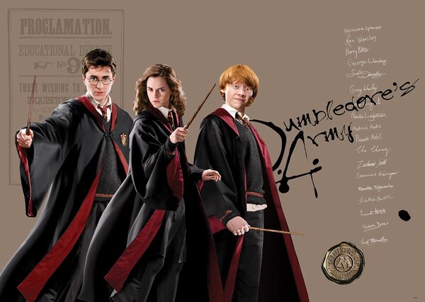 Dětská vliesová fototapeta na zed' Harry Potter Kouzelné Trio | 155 x 110 cm | DFTDNM5295