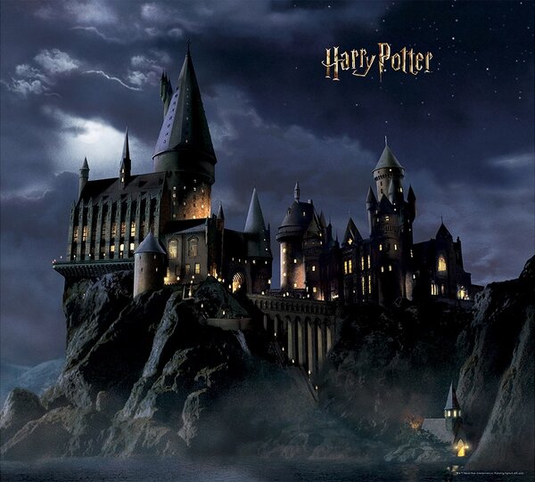 Dětská vliesová fototapeta na zed‘ Harry Potter | 300 x 270 cm | DDTD4P7803