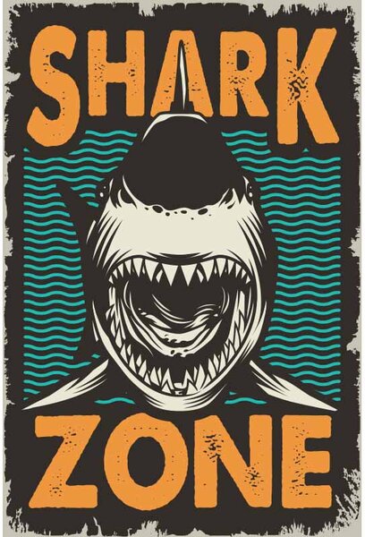 Cedule Shark Zone