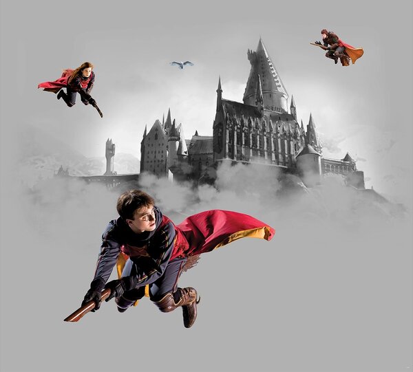 Dětská vliesová fototapeta na zed' Harry Potter Famfrpálové Trio | 300 x 270 cm | DDTD4P5095