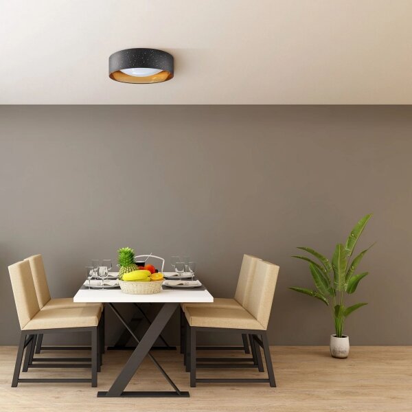 LED Stropní svítidlo TULUZA LED/18W/230V pr. 32 cm černá