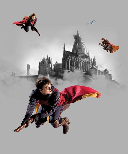 Dětská vliesová fototapeta na zed' Harry Potter | 225 x 270 cm | DFTD3P5167