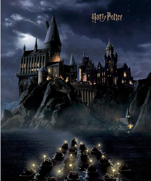 Dětská vliesová fototapeta na zed' Harry Potter | 225 x 270 cm | DFTD3P5175