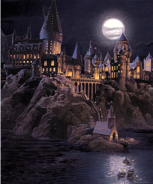 Dětská vliesová fototapeta na zed' Harry Potter | 225 x 270 cm | DFTD3P5177