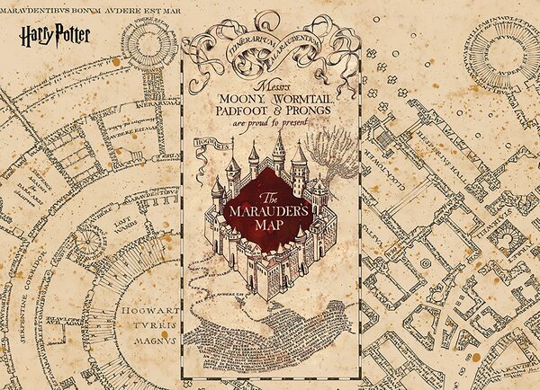 Dětská fototapeta na míru Harry Potter: Pobertův Plánek | Vliesová fototapeta na zed' | DFTD5P352187