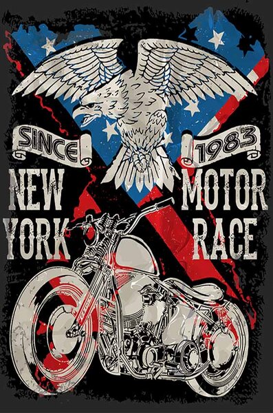 Cedule New York Motor Race