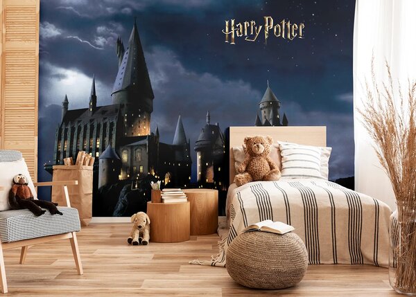 Dětská fototapeta na míru Harry Potter Bradavice | Vliesová fototapeta na zed' | DFTD5P352183