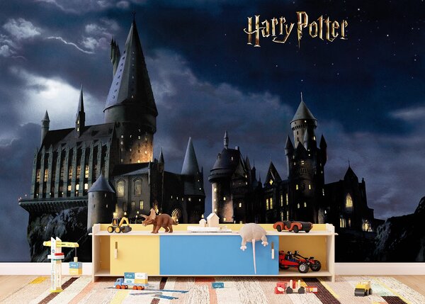 Dětská fototapeta na míru Harry Potter Bradavice | Vliesová fototapeta na zed' | DFTD5P352183
