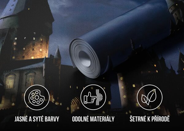Dětská fototapeta na míru Harry Potter Bradavice | Vliesová fototapeta na zed' | DFTD5P352183
