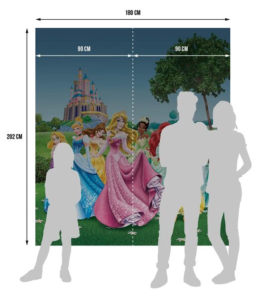 Dětská vliesová fototapeta na zed' Princezny, Disney | 180 x 202 cm | DFTDNXL 5112