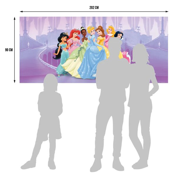 Dětská vliesová fototapeta na zed' Princezny všechny spolu, Disney | 202 x 90 cm | DFTDNH 5318