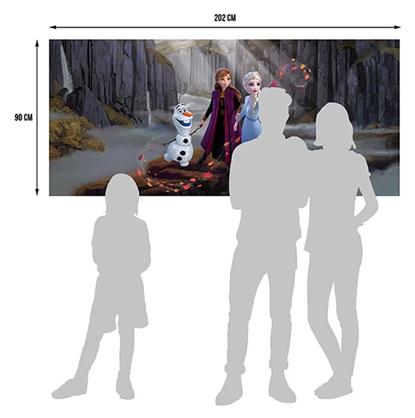 Dětská vliesová fototapeta na zed' Ledové království Rybník, Disney | 202 x 90 cm | DFTDNH 5386