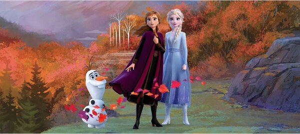 Dětská vliesová fototapeta na zed' Ledové království Les, Disney | 202 x 90 cm | DFTDNH 5387