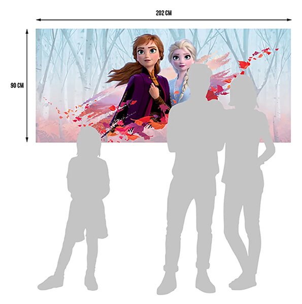 Dětská vliesová fototapeta na zed' Ledové království Sestry, Disney | 202 x 90 cm | DFTDNH 5388