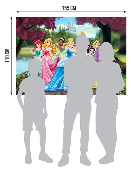 Dětská vliesová fototapeta na zed' Princezny v Lese, Disney | 155 x 110 cm | DFTDNM 5217