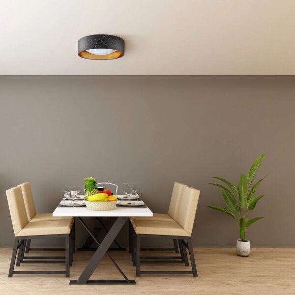 LED Stropní svítidlo TULUZA LED/24W/230V pr. 40 cm černá
