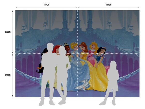 Dětská fototapeta na zed' Princezny Všechny Spolu, Disney | 360 x 254 cm | DFTD 0264