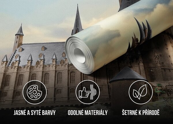 Dětská fototapeta na míru Harry Potter: Výhled na Bradavice | Vliesová fototapeta na zed' | DFTD5P352185