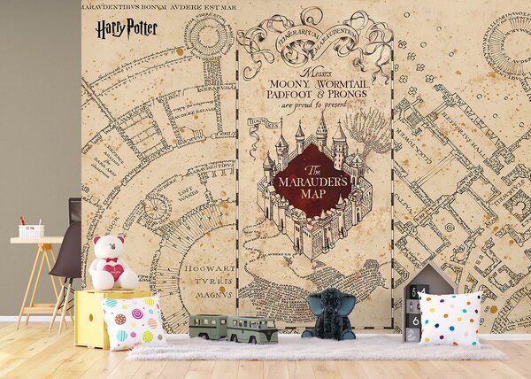 Dětská fototapeta na míru Harry Potter: Pobertův Plánek | Vliesová fototapeta na zed' | DFTD5P352187