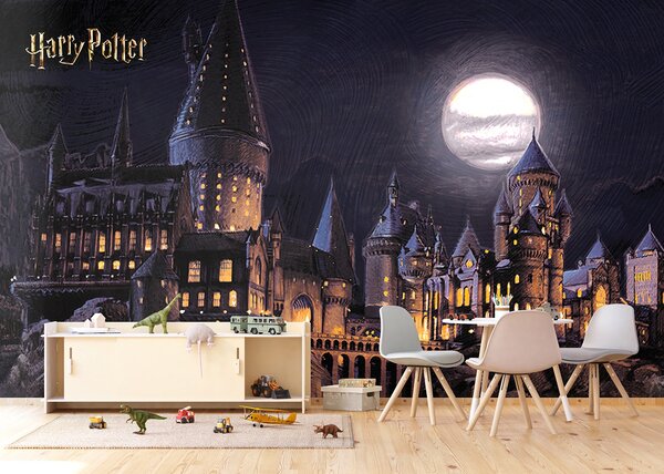 Dětská fototapeta na míru Harry Potter: Bradavice | Vliesová fototapeta na zed' | DFTD5P352189