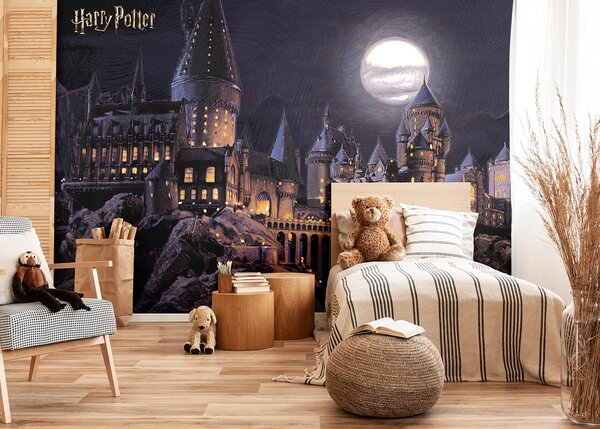 Dětská fototapeta na míru Harry Potter: Bradavice | Vliesová fototapeta na zed' | DFTD5P352189