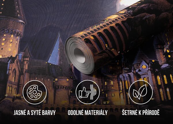 Dětská fototapeta na míru Harry Potter: Bradavice | Vliesová fototapeta na zed' | DFTD5P352189