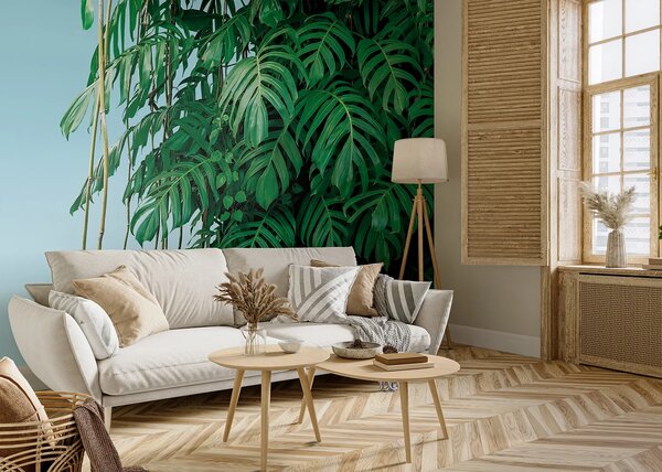 Fototapeta na míru Monstera | Vliesová fototapeta na zed' | DFT5P352389