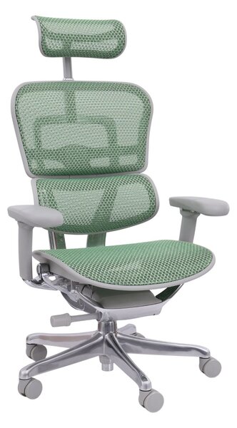 Kancelářská židle Ergohuman 2 Elite GS ST green