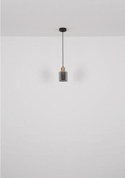Globo 15768 - Lustr na lanku ALEIDIS 1xE27/25W/230V pr. 12 cm