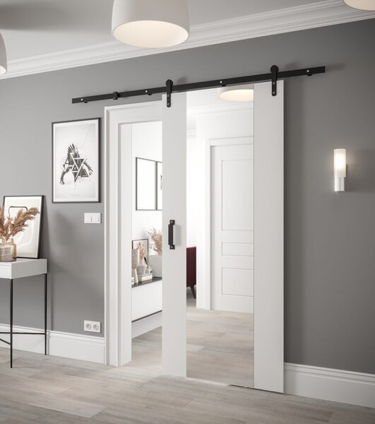 Posuvné dveře se zrcadlem Loftiko II - 90 cm s tlumeným dojezdem Barva: Old style