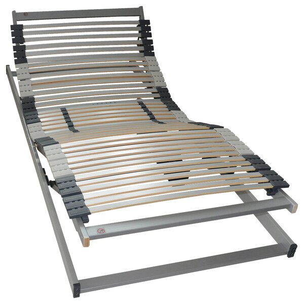 ELEKTRICKÝ POLOHOVACÍ ROŠT, (pro rám) 90/200 cm Dieter Knoll - Elektrické rošty