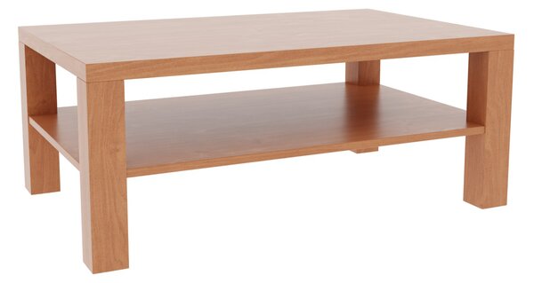 Konferenční stolek OTA 80 x 120 cm, B149 olše