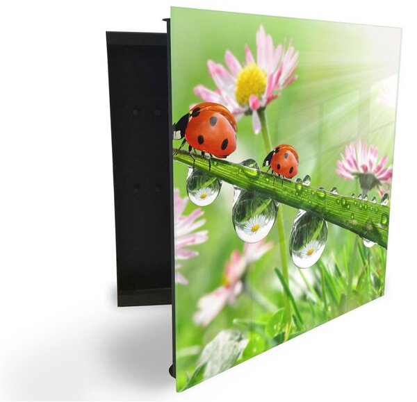 Glasdekor skříňka na klíče - berušky na trávě s rosou a květy - Pravé / Černá
