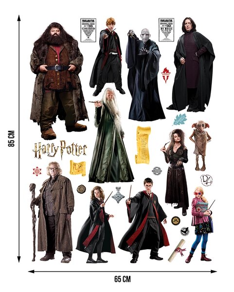Dětská samolepka na zeď Harry Potter | 65 x 85 cm | DDK2335