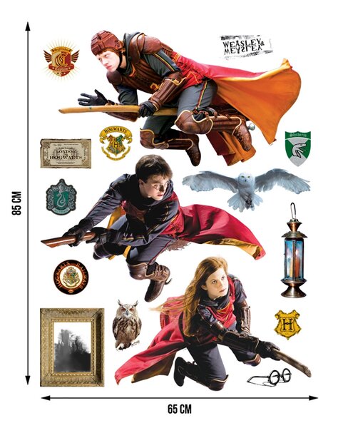 Dětská samolepka na zeď Harry Potter | 65 x 85 cm | DDK2339