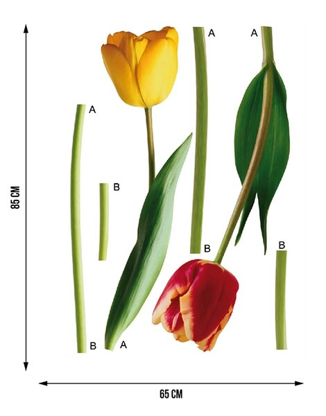 Samolepka na zeď Tulipány | 65 x 85 cm | DF0401